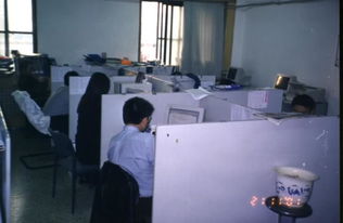 北京迈波斯咨询服务有限责任公司 专业信息咨询服务的领航者